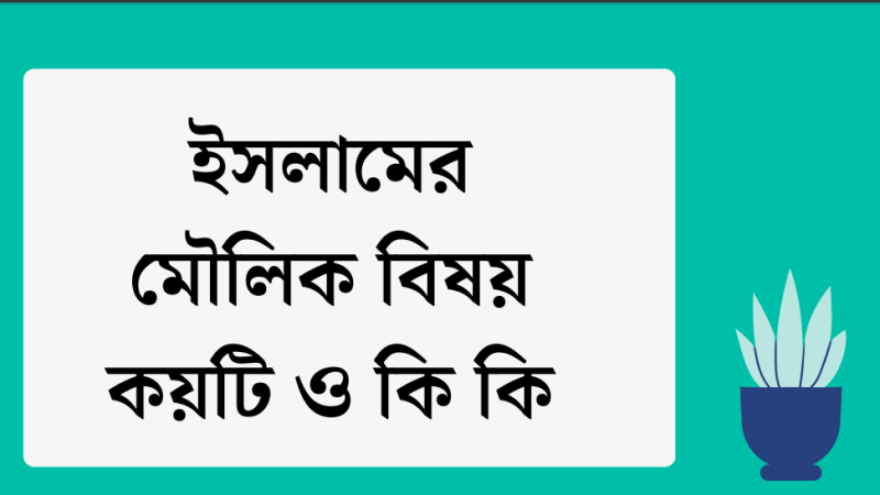 ইসলাম অর্থ কি ?কাকে বলে। ইসলামের মৌলিক বিষয় কয়টি ও কি কি