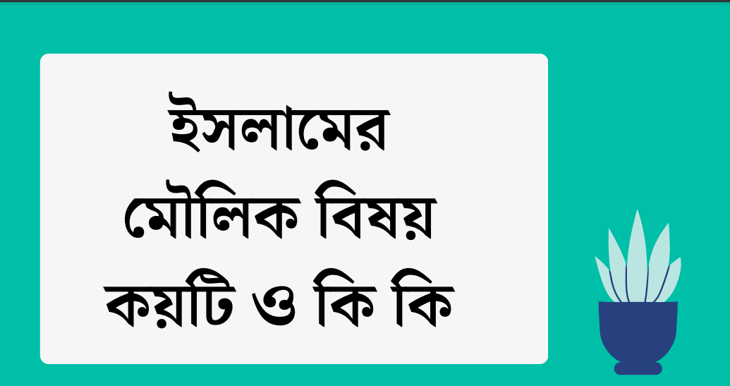 ইসলাম অর্থ কি ?কাকে বলে। ইসলামের মৌলিক বিষয় কয়টি ও কি কি